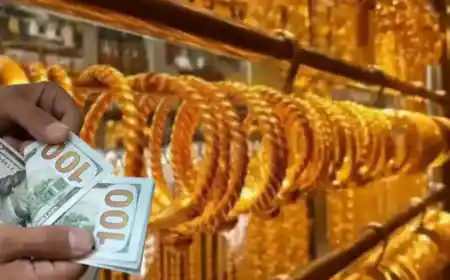 سعر الذهب اليوم في فلسطين السبت 20 يونيو مباشر الآن