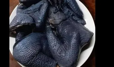 ماذا تعرف عن الدجاج الأسود والتفاح الاسود وسمكة البقرة ذات القرون؟