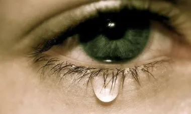 العلماء يزرعون غددا بشرية في المختبر قادرة على البكاء كعيون طبيعية