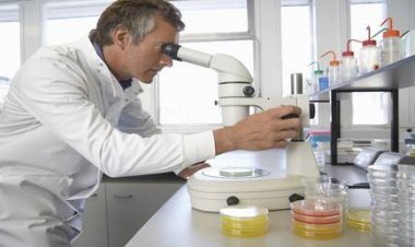 العلماء يبتكرون عبوة صالحة للأكل لحفظ المواد الغذائية