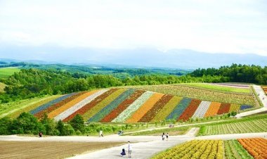جزيرة هوكايدو اليابانية حيث الهواء النقي والمناظر الجذابة