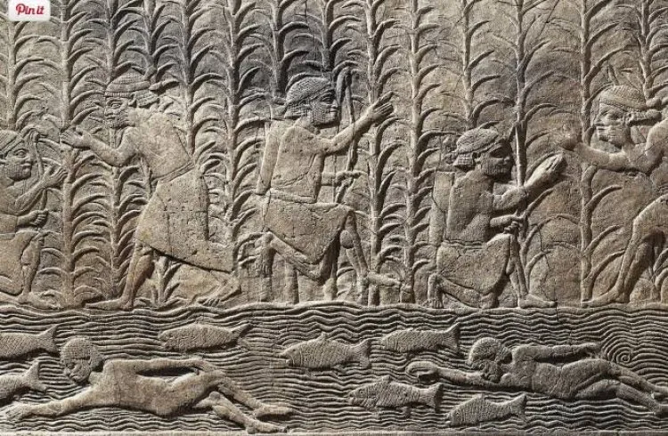 الفجر البدائي البارد بين اللغة العربية والاكدية والسومرية (١)