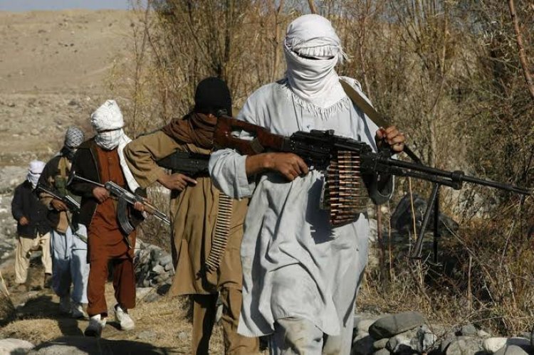 جماعة طالبان: الطرح الأمريكي لتشكيل حكومة انتقالية قيد الدراسة