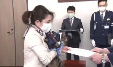 تعيين قطة مديرا لأحد أقسام الشرطة في اليابان