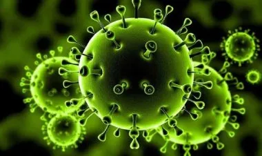 الصحة العالمية تحذر: كورونا أصبح أكثر ذكاء في طريقة انتشاره!