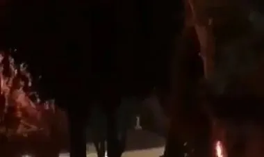 حريق في ساحات المسجد الأقصى واشتعال الأشجار والاحتلال يمنع الفلسطينيين اطفاؤه