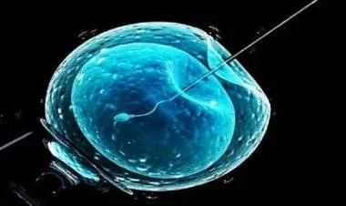 علماء يابانيون يطورون بويضات فئران "من الصفر" قابلة للحياة