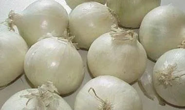 فوائد صحية هائلة لتناول البصل الأبيض