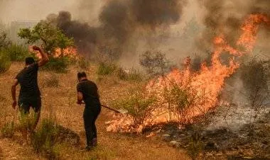 المفوضية الأوروبية تعرب عن استعدادها لتقديم المساعدة في جهود مكافحة حرائق الغابات المستمرة في تركيا
