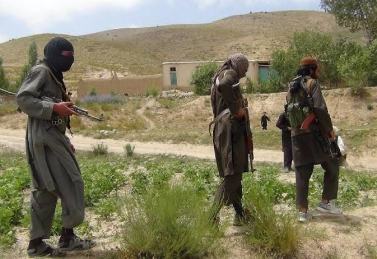 طالبان تسيطر على 90 في المائة من الحدود الأفغانية