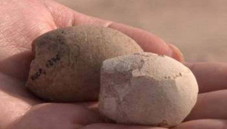 اكتشاف بيض متحجر لطيور عمرها أكثر من 85 مليون عام في الأرجنتين