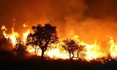 الحرائق تصل لمحطة حرارية في تركيا ومحافظ المنطقة يطلب دعما جويا