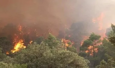 حرائق هائلة على مستوى الغابات في العديد من ولايات الجزائر