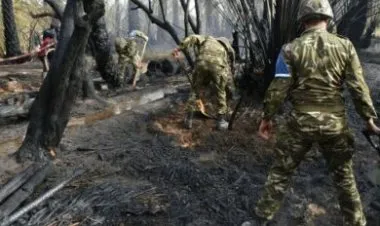 الجيش الجزائري يفقد 25 عنصراً من أفراده في عمليات إنقاذ من الحرائق