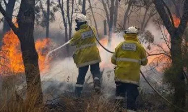الجزائر تعلن الحداد على أرواح ضحايا الحرائق