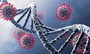 دراسة: وفيات سلالة كورونا "أيوتا" بين  62-82%.