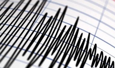 زلزال بقوة 7.2 درجات يضرب هايتي.. وتحذير من تسونامي