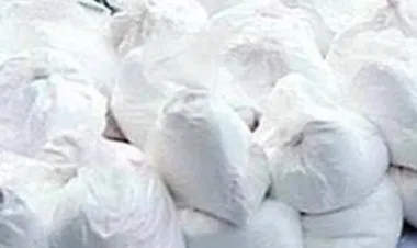 ضبط 9.6 طن من الكوكايين في الإكوادور