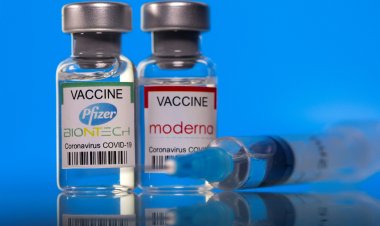 المطعمون بلقاح فايزر أكثر عرضة بمعدل ستة أضعاف للإصابة بعدوى دلتا