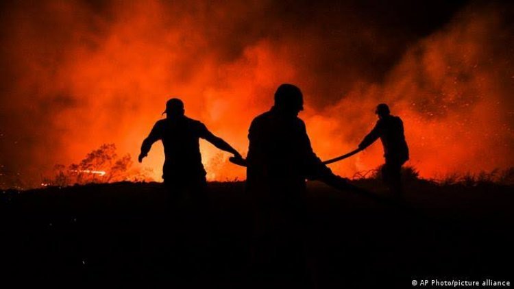 جماعة ( أبناء النار ) الكردية تعلن مسؤوليتها عن حرائق الغابات في تركيا
