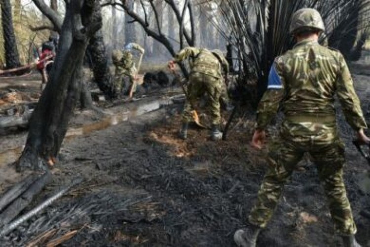 الجيش الجزائري يفقد 25 عنصراً من أفراده في عمليات إنقاذ من الحرائق