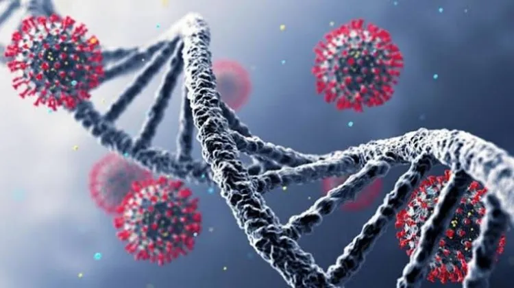 دراسة: وفيات سلالة كورونا "أيوتا" بين  62-82%.