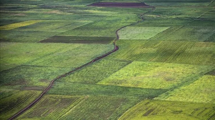 السودان تخصص ١٠٠ ألف هكتار من أراضيه الزراعية لتشغيلها من قبل تركيا