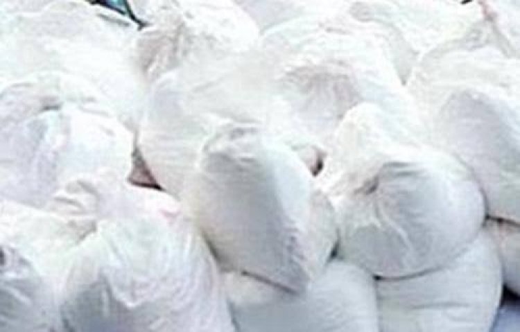 ضبط 9.6 طن من الكوكايين في الإكوادور