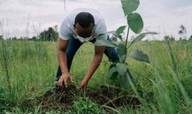 أثيوبيا: غرس 6.7 ميار شتلة خلال 2021