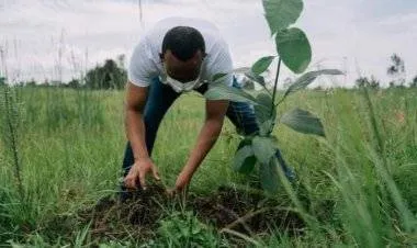 أثيوبيا: غرس 6.7 ميار شتلة خلال 2021