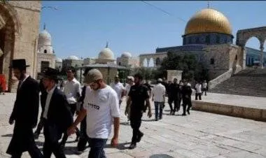 أعداد كبيرة من المستوطنين تقتحم باحات المسجد الأقصى