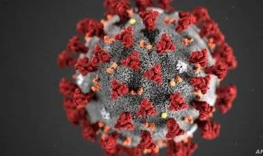 اكتشاف المسؤول الرئيسي عن إصابات كورونا القاتلة