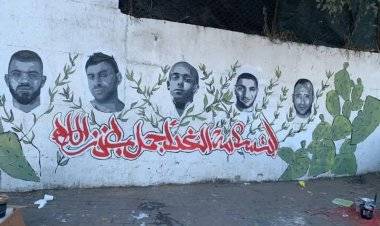 إضراب شامل بأم الفحم احتجاجًا على تفشي جرائم القتل