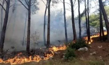 سورية: إعدام 24 شخصا أدينوا بإشعال حرائق العام الماضي