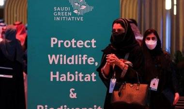 المملكة الخضراء.. السعودية تطلق 64 مبادرة لحماية البيئة..