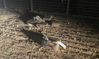 تبادل لإطلاق النار بين الجيش الإسرائيلي ومهربي مخدرات على الحدود المصرية