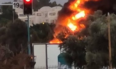 الشاباك .. مواطن من غزة وراء حرق الحافلات ورعب المستوطنين في الرملة