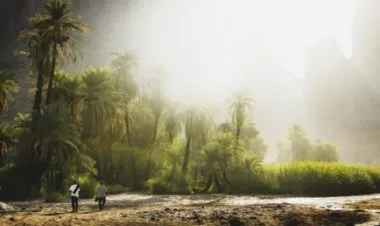 السعودية تبدأ في تشييد مدينتها البيئية بتكلفة 100 مليار دولار