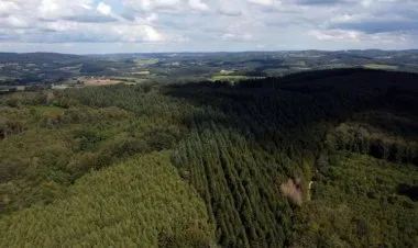 أوروبا تتعهد بمليار يورو لحماية غابات العالم في قمة غلاسكو