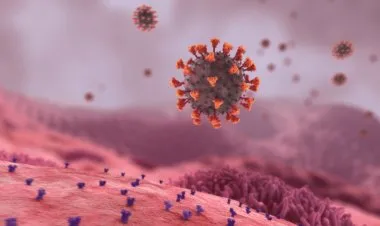 فيديو رائع لحظة بلحظة..  هكذا يخترق كورونا أجسادنا ويتغلغل