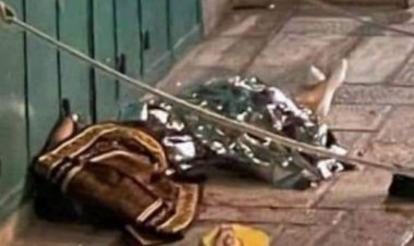 قوات الاحتلال الإسرائيلي،تقتل فتى يبلغ من العمر 16 عاماً بزعم تنفيذه عملية طعن