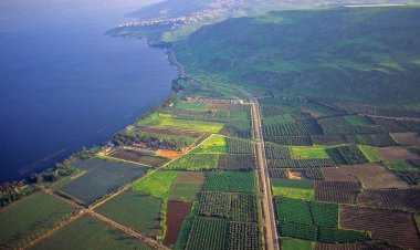 الأمم المتحدة تعتمد قرارا لصالح فلسطين حول السيادة على مواردها الطبيعية