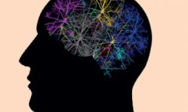 مع كتاب قضايا مختارة في الاستشارة التربوية، والصحة النفسية للأستاذ يونس جبارين