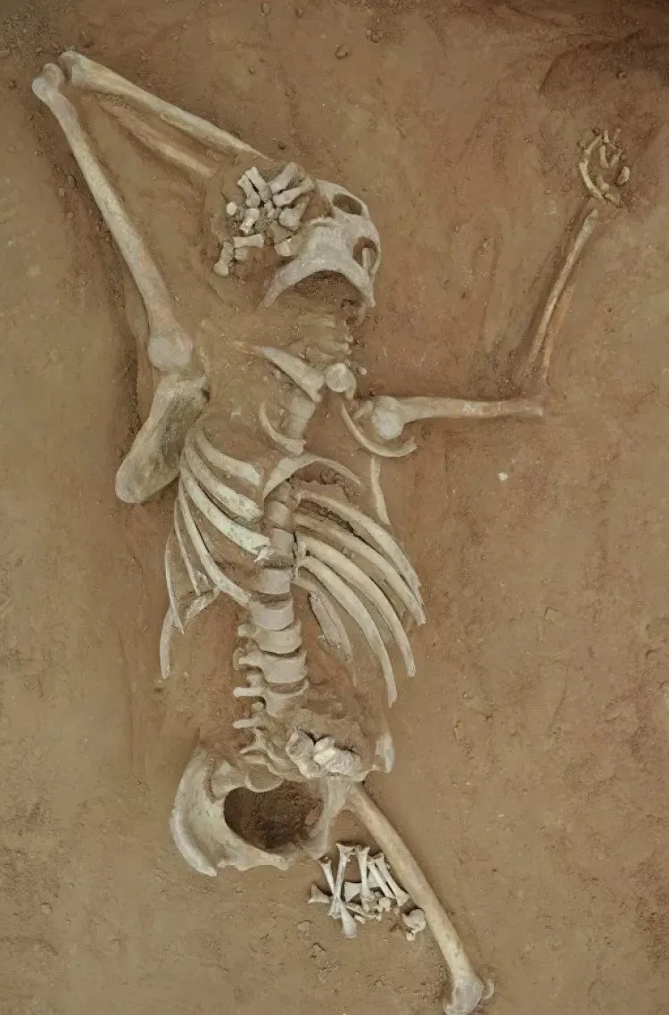 علماء صينيون يكشفون ملابسات جريمة قتل غامضة جرت قبل 1300 عام