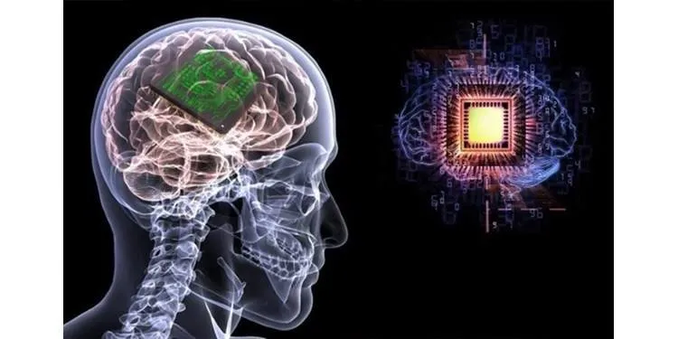 شريحة مزروعة بالدماغ تترجم الأفكار وتحولها إلى نصوص