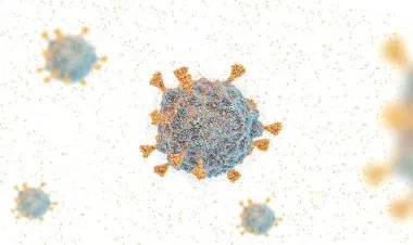 علماء يرجحون نظرية جديدة لنشوء متحور أوميكرون  تقلب الموازين