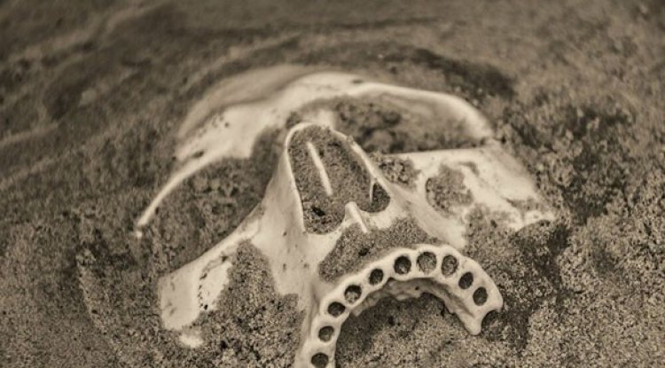 علماء يكتشفون أداة حربية مدهشة استخدمت قبل 5 آلاف عام