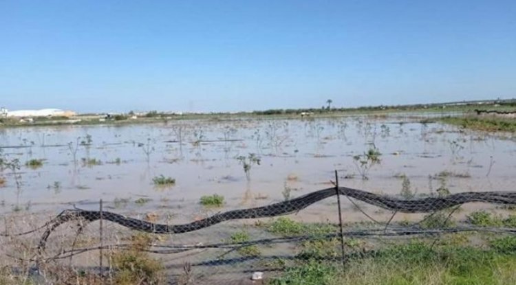 بالصور :الاحتلال يغرق مئات الدونمات الزراعية بمياه الأمطار شرق غزة