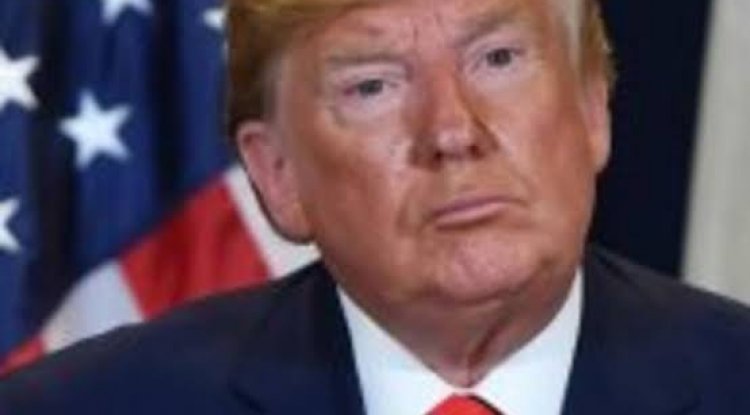 مجلس الشيوخ الأمريكي يتسلم رسميا لائحة اتهام دونالد ترامب تمهيدا لمحاكمته