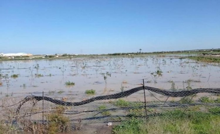 بالصور :الاحتلال يغرق مئات الدونمات الزراعية بمياه الأمطار شرق غزة